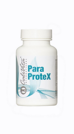 paraprotex - Helicobacter pylori