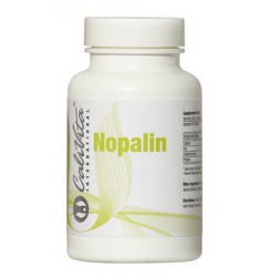 Nopalin- nopal, opuncja