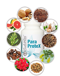 paraprotex